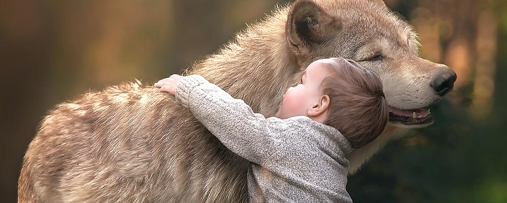 Niño bebé con lobo